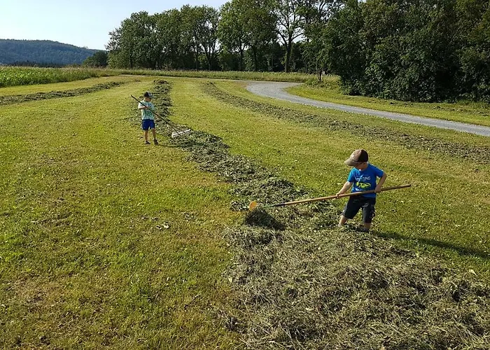 Διαμέρισμα Ferrum