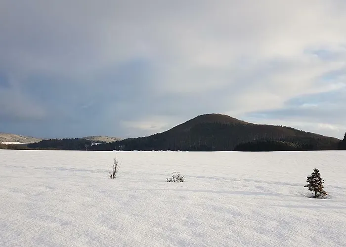 Διαμέρισμα Ferrum *